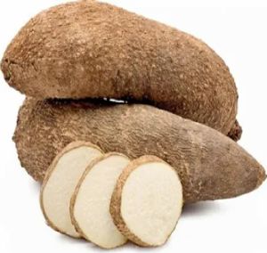 Fresh Yam Bean