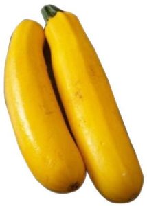Fresh Yellow Zucchini