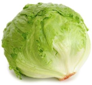 Iceberg Lettuce