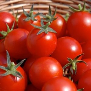 Juicy Farm Fresh Tomato