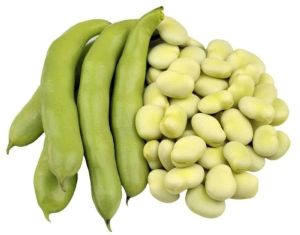 Natural Broad Beans