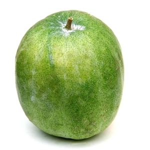 Premium Ash Gourd