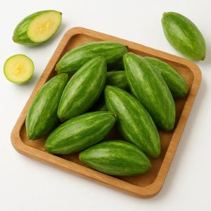 Premium Pointed Gourd