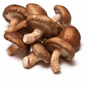 Shiitake Mushroom