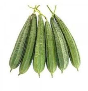 Tender Sponge Gourd