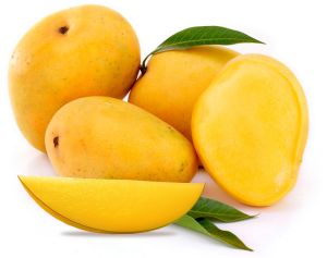 Fresh Yellow Mango