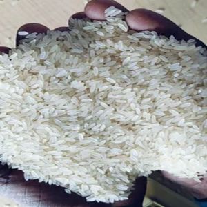 IR64 Raw 5% Broken Rice