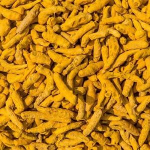 Lakadong Turmeric Finger
