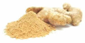 Dehydrated Ginger Powder