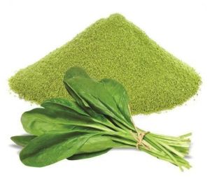 Dehydrated Spinach Powder