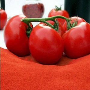Dehydrated Tomato Powder