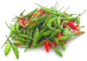 Kanthari Chilli