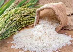 Broken Rice