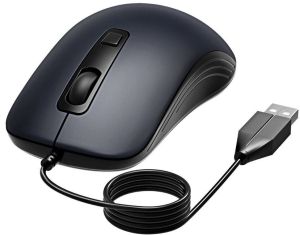 Computer Mouse