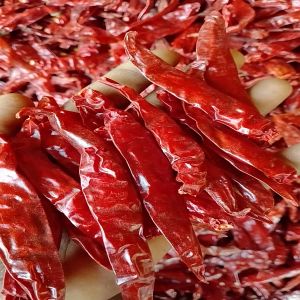 Dry Red Chili