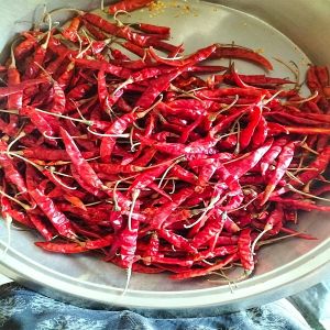 Dry Red Chili
