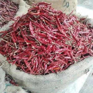 Dry Red Chili