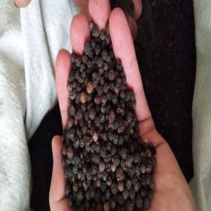 Whole Black Pepper