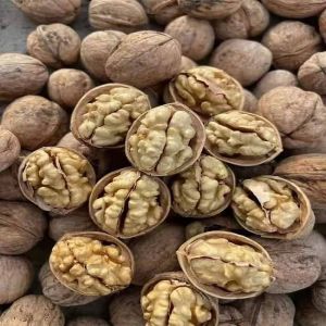 Whole Walnut