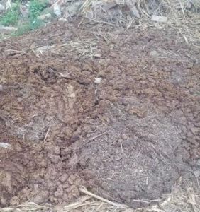 Eco-Friendly Organic Manure