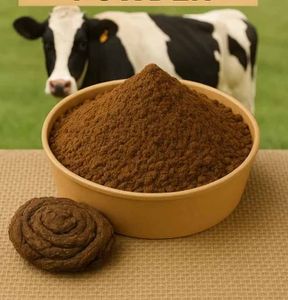 Natural Cow Dung Fertilizer