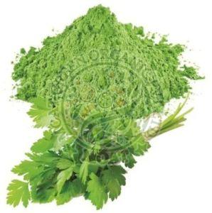 Coriander Leaves Powder