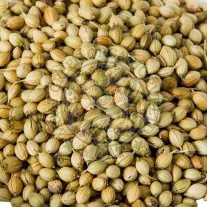 Coriander Seeds