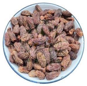 Dried Dates