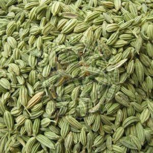 Fennel Seeds