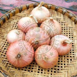 Fresh Pink Onion