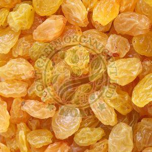 Golden Raisins