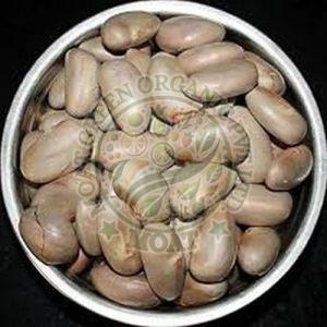 Jackfruit Seeds