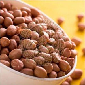 Peanut Kernels