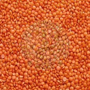 Red Masoor Dal