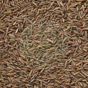 Shahi Cumin Seeds