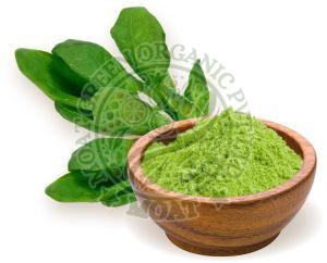 Spinach Powder