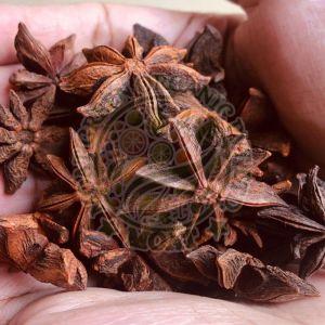 Star Anise Seeds