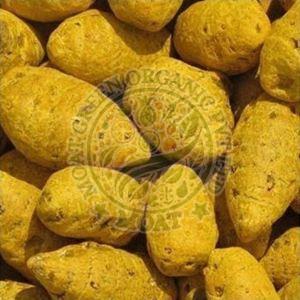 Turmeric Bulb