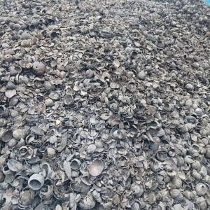 Grey Coconut Shell Charcoal