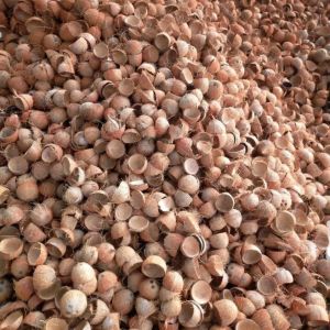 Hard Coconut Shells