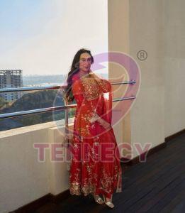 Bollywood Style Georgette Gown Set