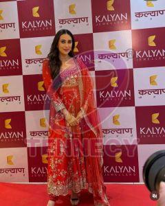 Bollywood Style Georgette Gown Set