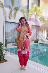 Designer Batwa With Top Pant Set