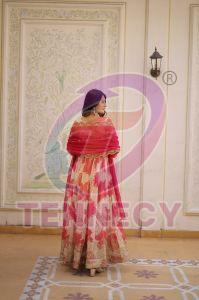Fancy V Neck Embroidered Russian Silk Gown Set