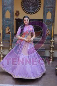 Womens Zari Sequins Wedding Lehenga Set