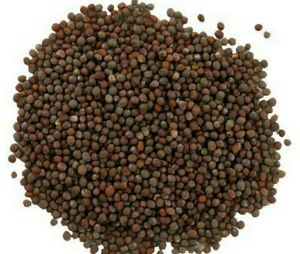 Black Mustard Seeds