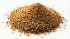 Dhana Jeera Powder
