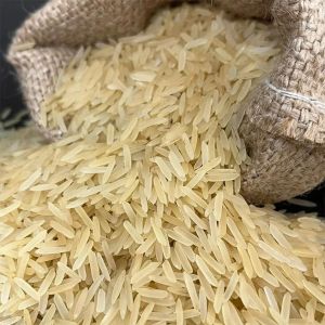 Long Grain 1509 Basmati Rice