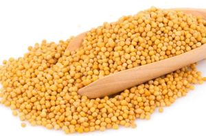 Mustard Seeds