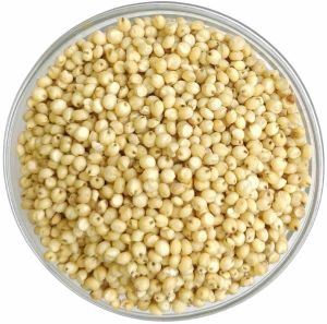 Premium Jowar Millet